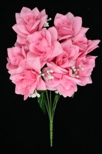 Pink Micro Peach Open Rose Bush With Veins x12 (Lot of 1) SALE ITEM